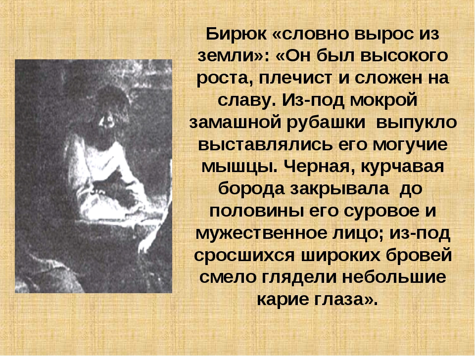 Сравнение сыновей тараса бульбы сочинение