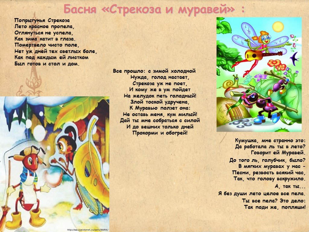 7 лучших сочинений по рассказу «муму» (для 5 класса)