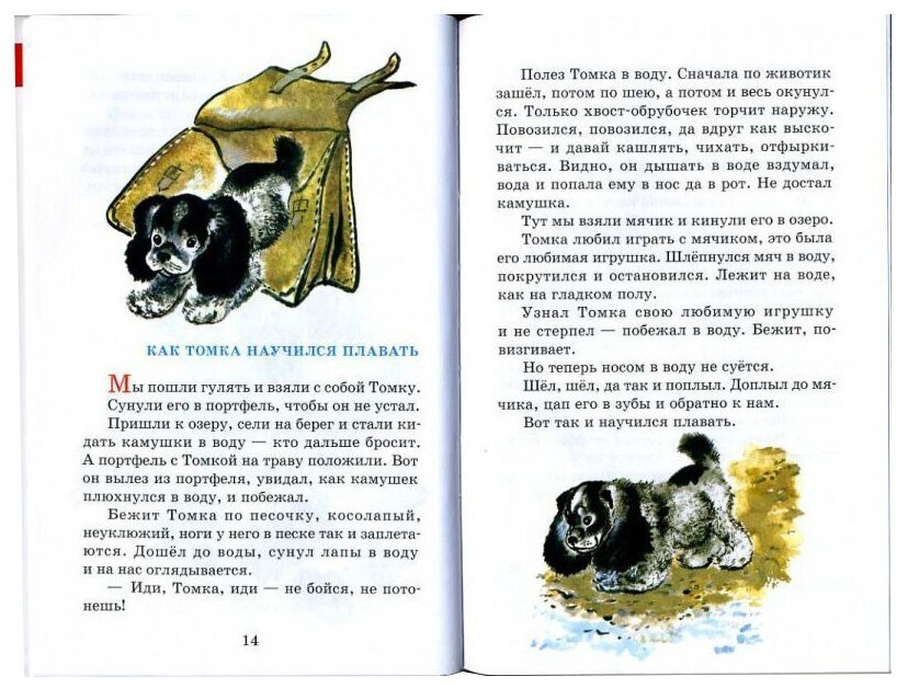Презентация по литературному чтению на тему: е.и. чарушин кабан (4 класс)  доклад, проект