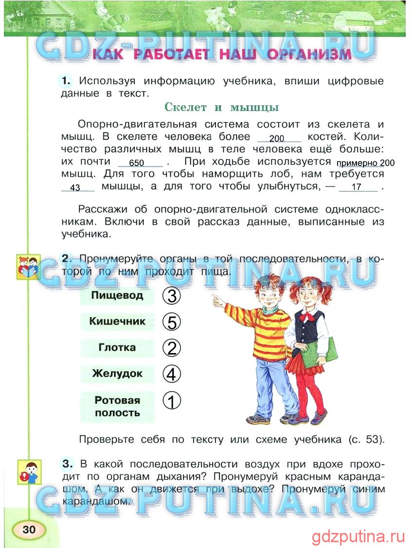 Гдз по окружающему миру 3 класс 2 часть — рабочая тетрадь — плешаков а.а. новицкая м.ю.