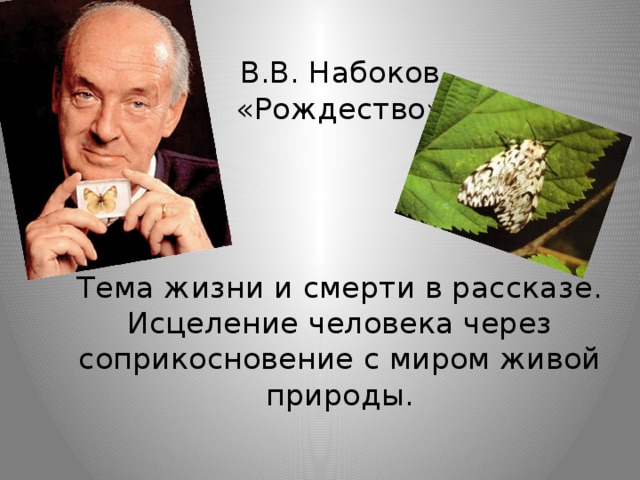 Анализ рассказа в.набокова «рождество»