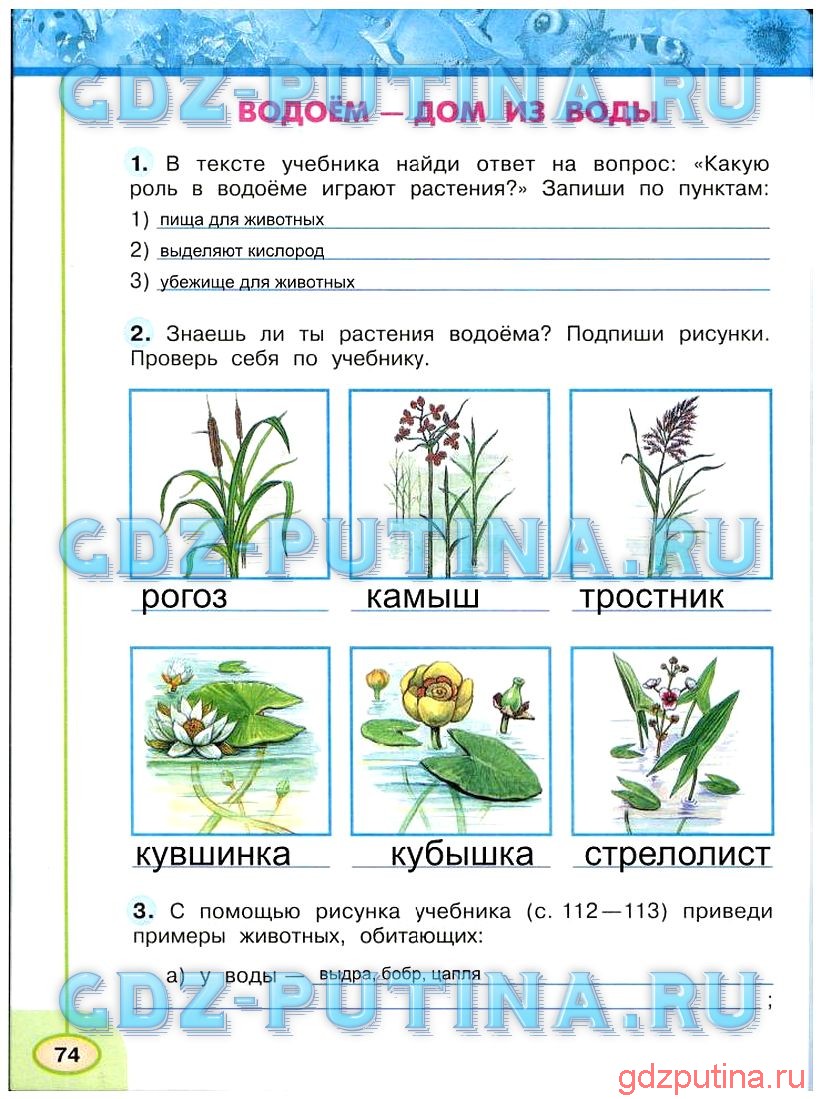 Гдз решебник по немецкому языку 4 класс бим, рыжова рабочая тетрадь просвещение