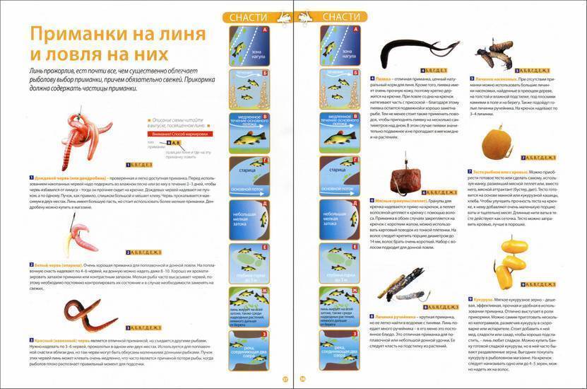 Зимняя рыбалка для новичков