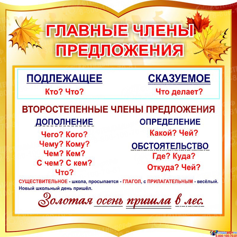 Члены предложения