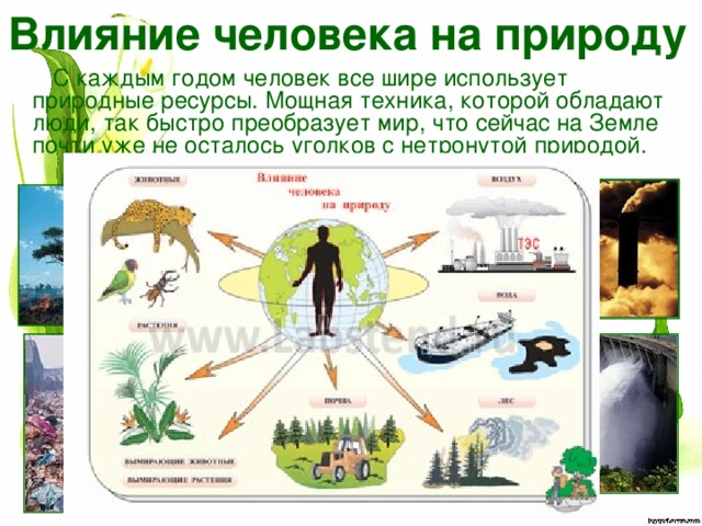 Авторское сочинение на тему влияние природы на человека 11 класс егэ