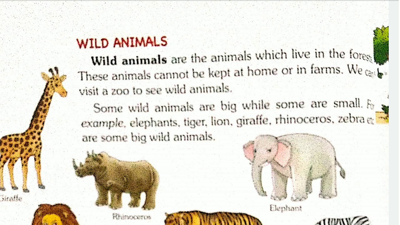 It has huge ears and two eyes on the sides of its head