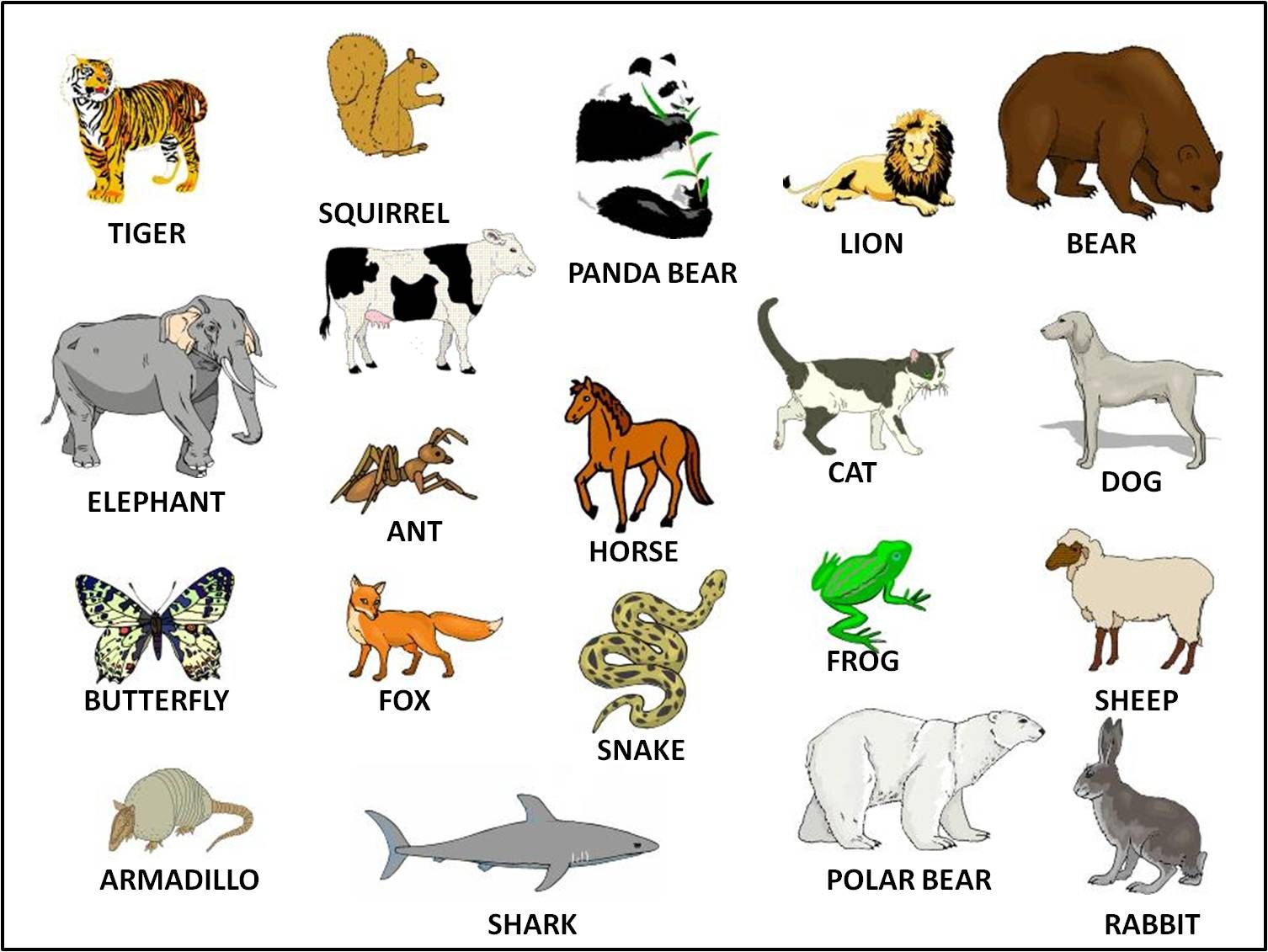 Unit 11 grade 3: look at all the animals!-lesson 4 - question and answer english online