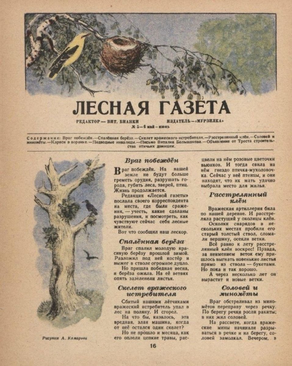«лесная газета» - книга виталия бианки для читательского дневника