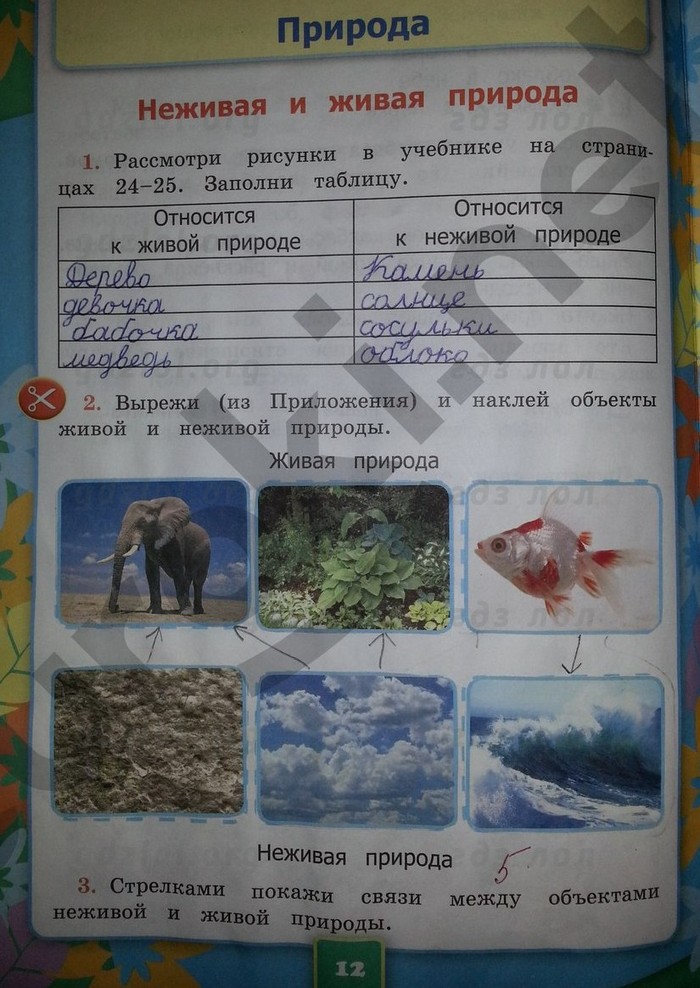 Впр с ответами по математике за 4 класс 2024 год — вариант 23 (25 вариантов)