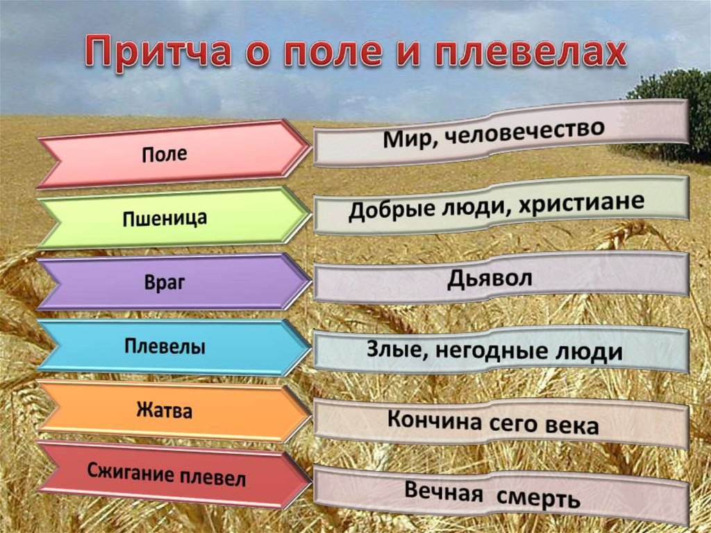Сочинение на тему: урожай