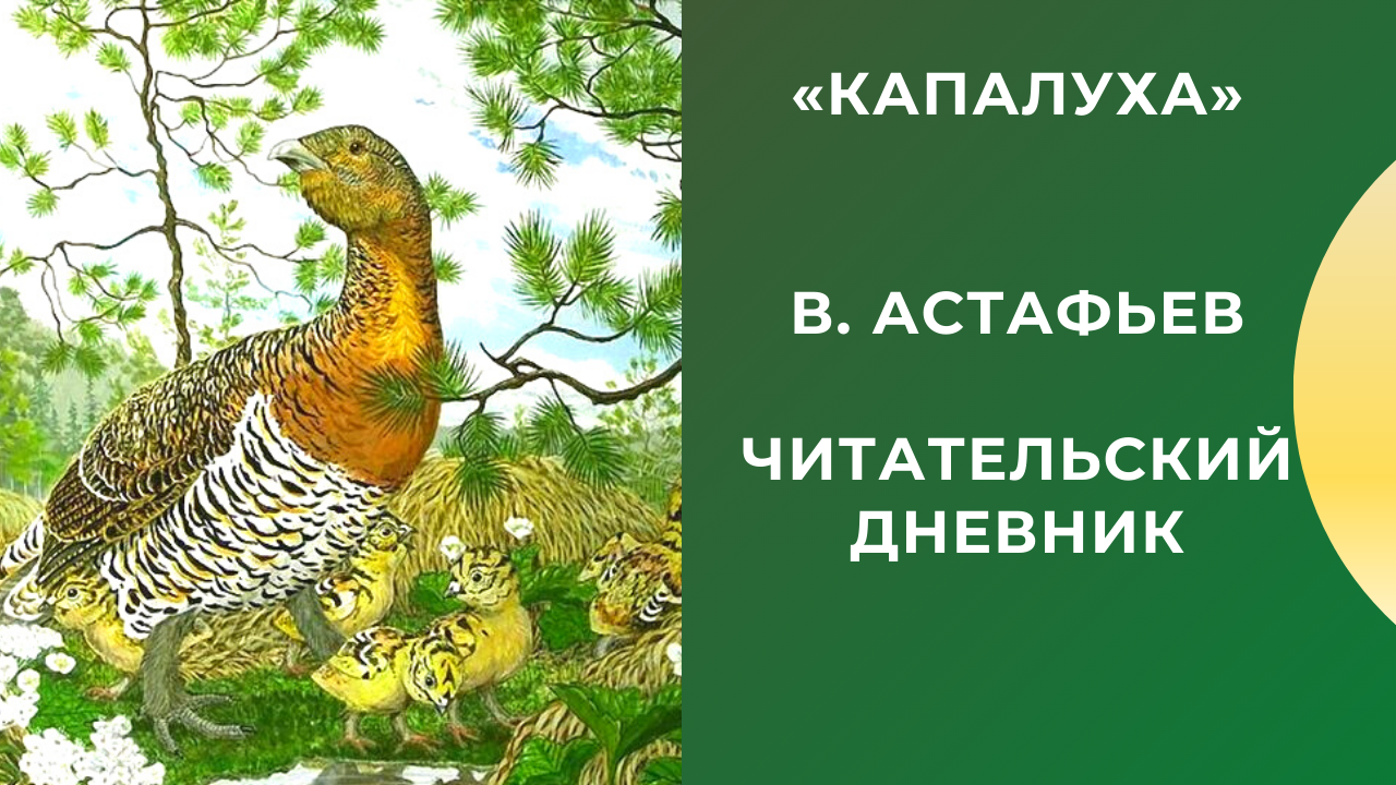 Краткое содержание астафьев пролётный гусь для читательского дневника